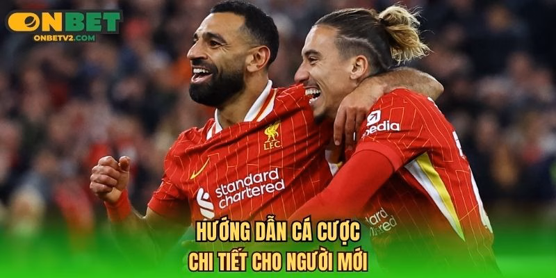 Hướng dẫn cá cược chi tiết cho người mới