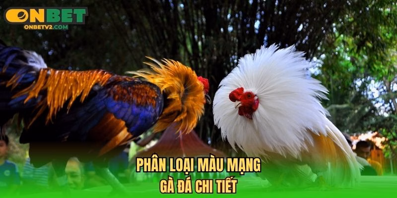 Phân loại màu mạng gà đá chi tiết